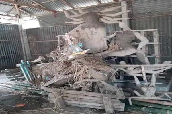 durga idol damaged in bangladesh-