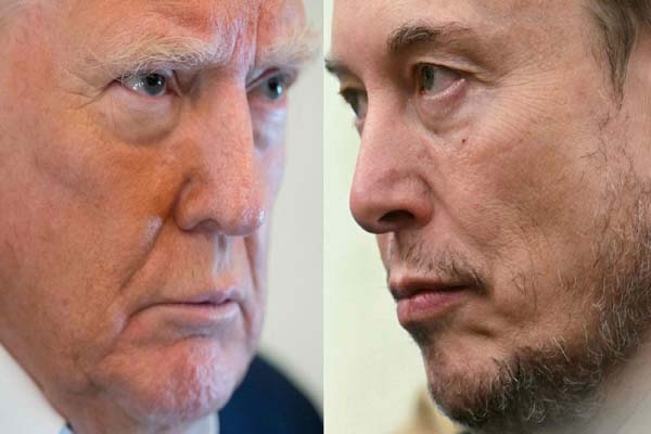 will make the epstein sex scandal file public musk