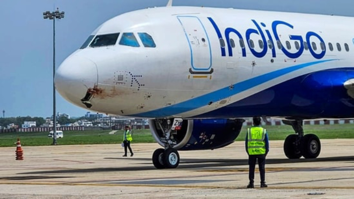 rat run grounds indigo flight 3-hour panic at kanpur airport