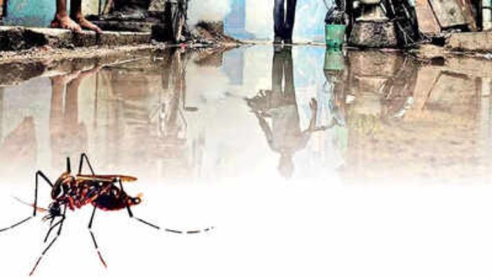 tripura on edge dengue spreads amid unfinished drainage stagnant water