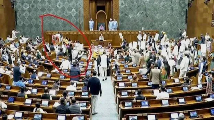 women mps’ protest forces adjournment in lok sabha