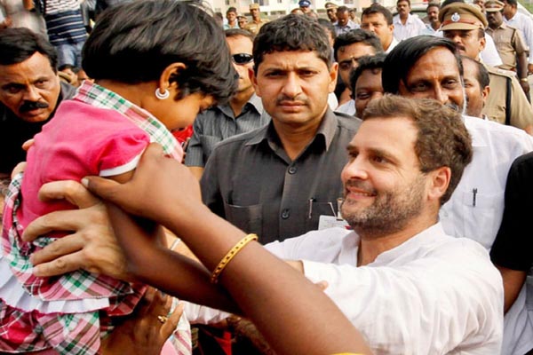 rahul gandhi to contest ls poll from amethi- to submit nomination on friday report