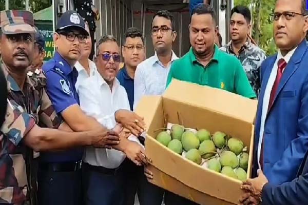 bangladesh pm sheikh hasina sent mango hilsa as gift to tripura cm